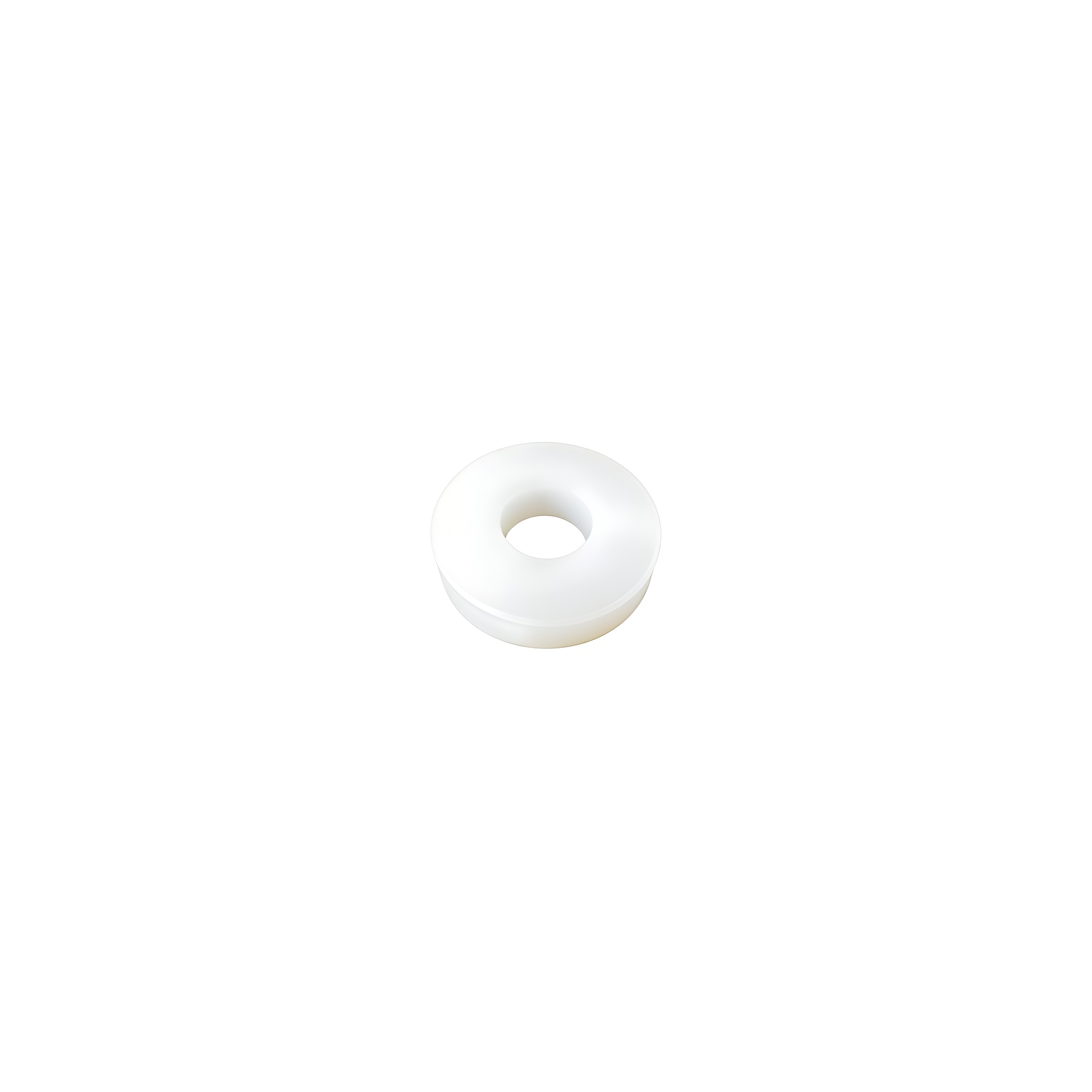 Nylon gasket